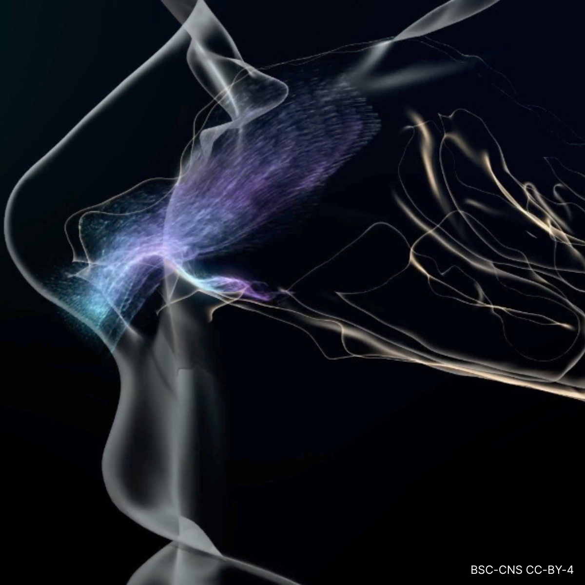 Abstract artistic depiction of a butterfly emerging from a human profile on a black background