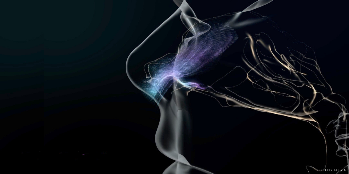 Abstract artistic depiction of a face with glowing, ethereal qualities on a dark background