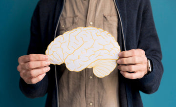 The Role of Deep Sleep in Brain Health and Memory 
