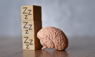 Why Deep Sleep Helps Your Brain: The Science of Restoration