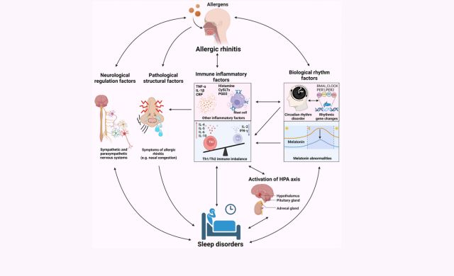 Nighttime Allergy Symptoms: Why Congestion Gets Worse at Night and What to Do