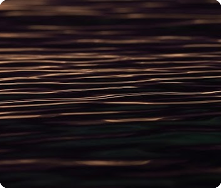 Aquascape